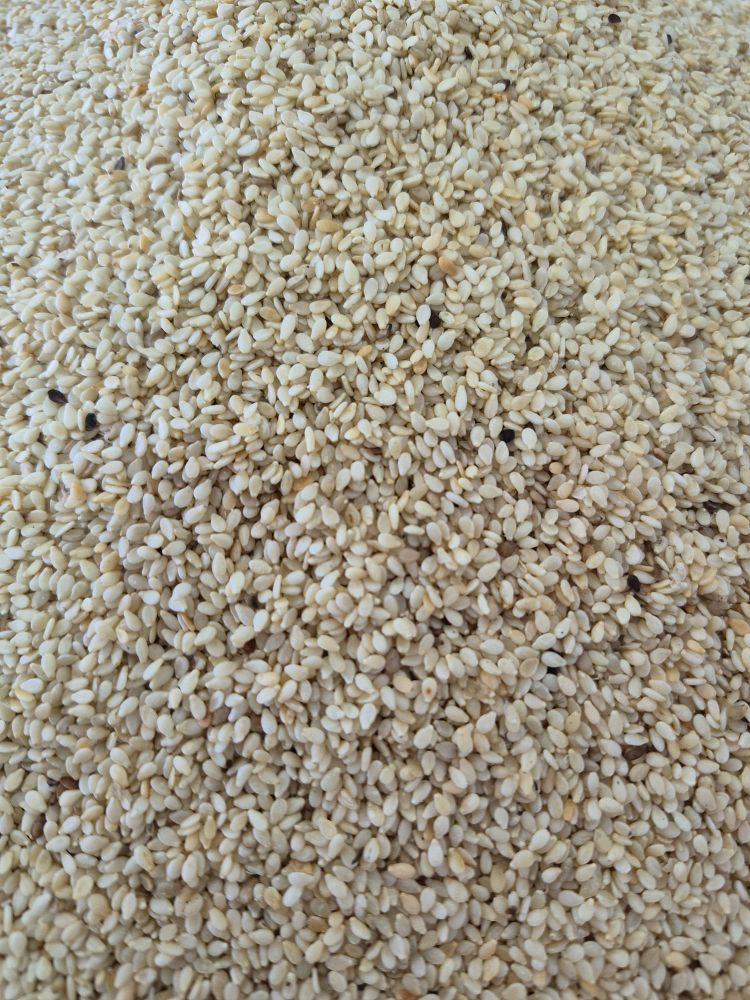 Tahinlik Kavrulmuş Susam (100Gr)