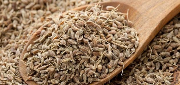 KİMYON (TANE) (500 GR)