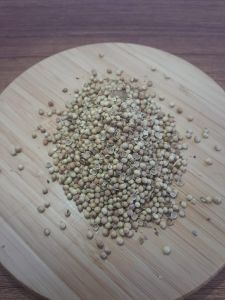KİŞNİŞ TANE (KÜZBARA) (500 GR)